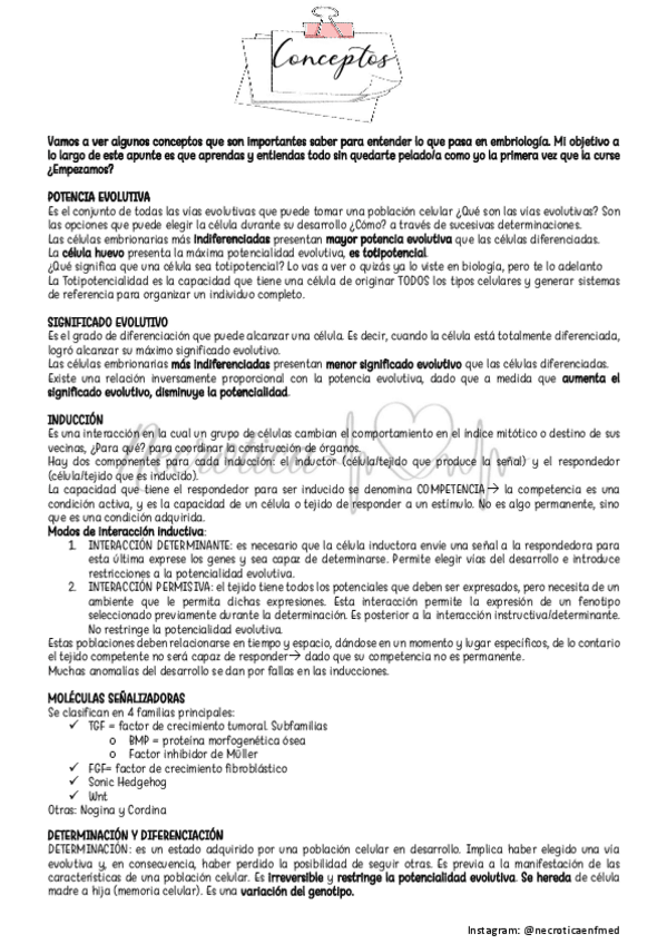 Miniatura del documento Conceptos 2da Versión.pdf