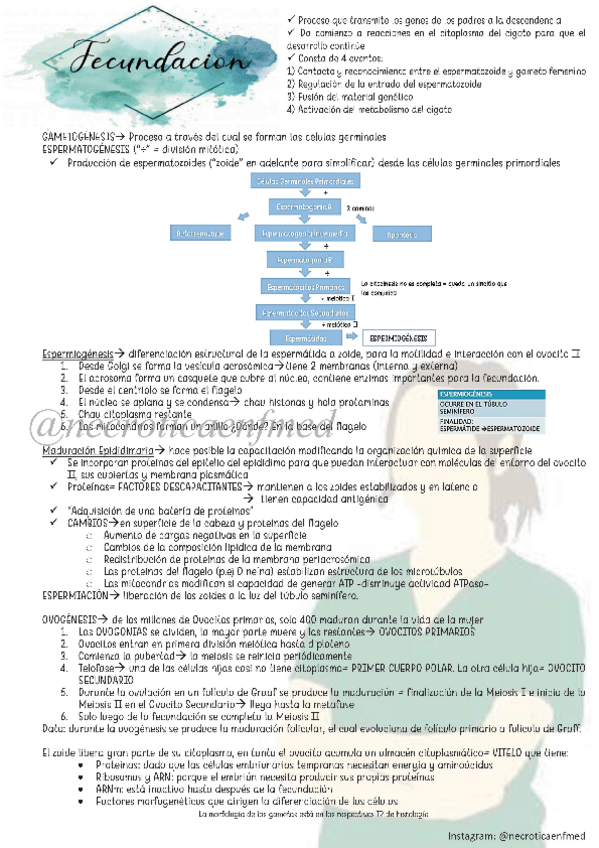 Miniatura del documento Fecundacion.pdf