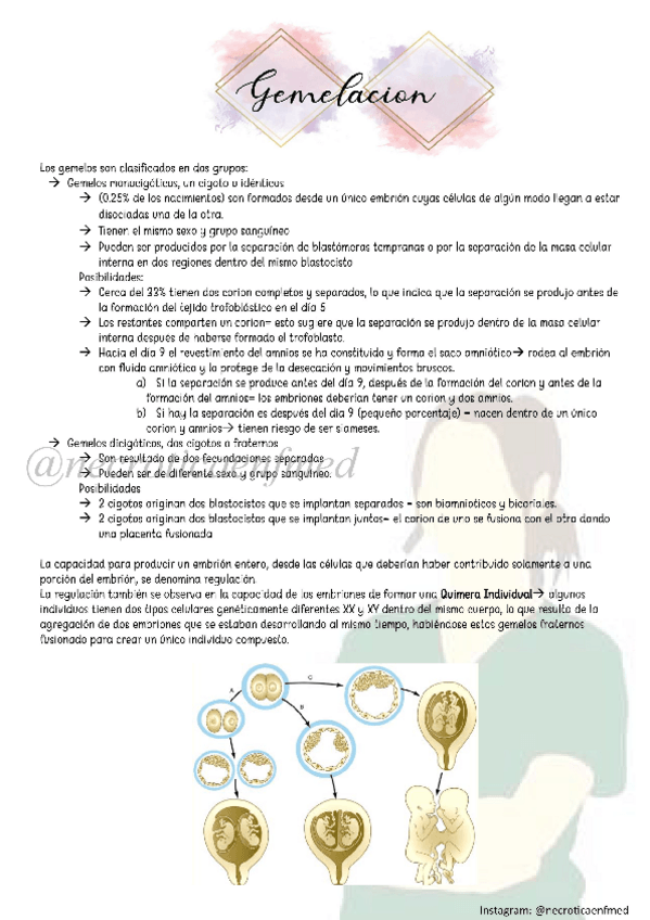 Miniatura del documento Gemelacion.pdf