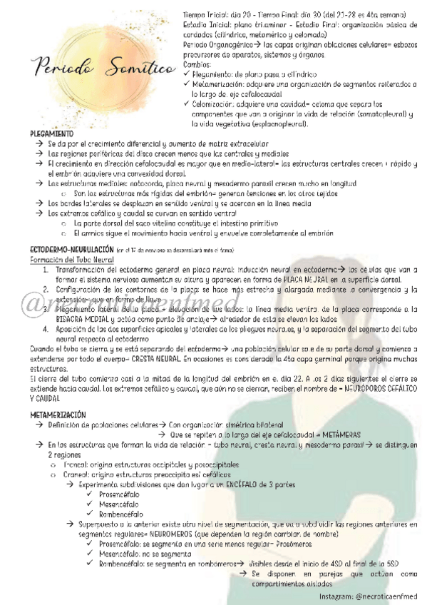 Miniatura del documento Periodo-Somitico-I-y-II.pdf