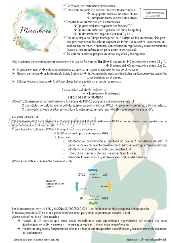 Miniatura del documento Miembros.pdf