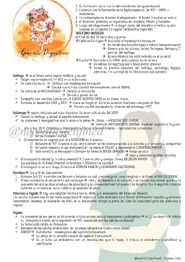 Miniatura del documento Digestivo.pdf