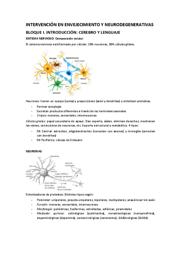 Miniatura del documento Envejecimiento-y-neurodegenerativas-apuntes-finales.pdf