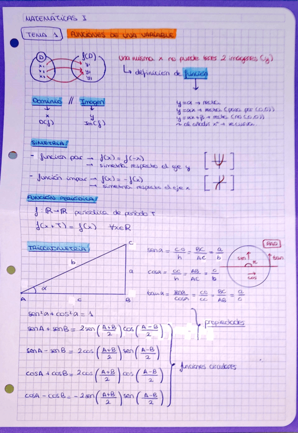 Miniatura del documento Resumen-por-temas.pdf
