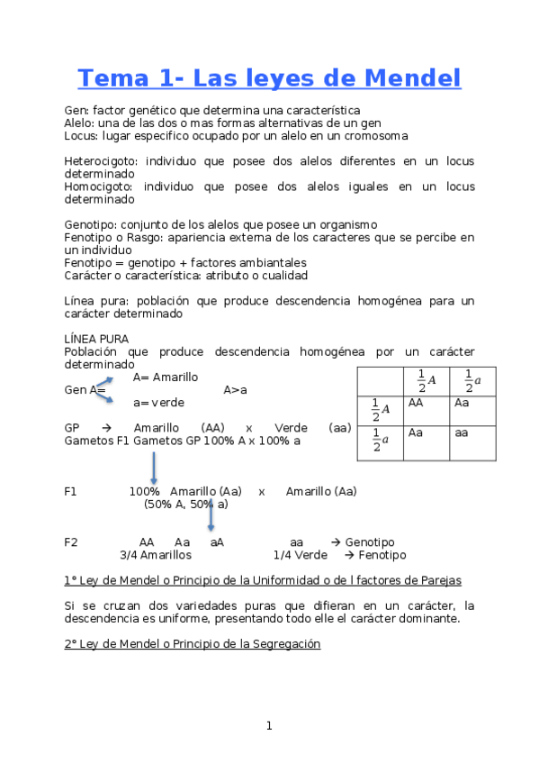 Miniatura del documento GENETICA- Primer parcial.docx
