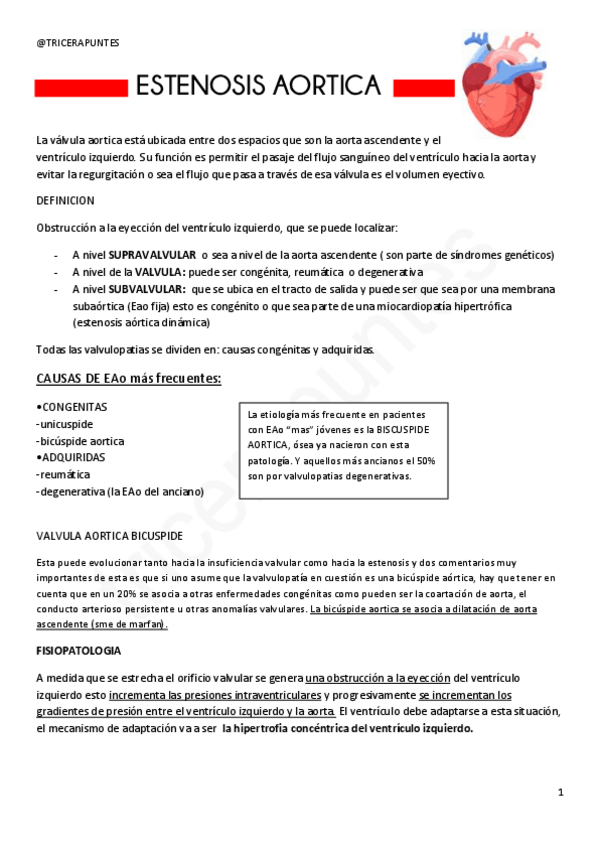 Miniatura del documento ESTENOSIS-AORTICA.pdf