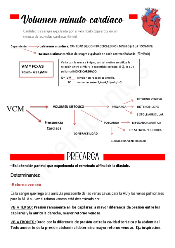Miniatura del documento VOLUMEN-MINUTO-CARDIACO.pdf