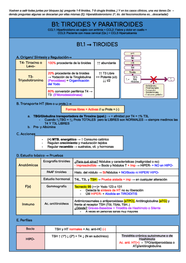 Miniatura del documento ORIENTACION-ENDO1.pdf