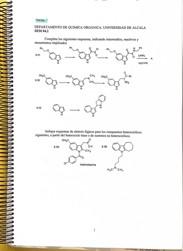 Miniatura del documento seminario-indoles.pdf