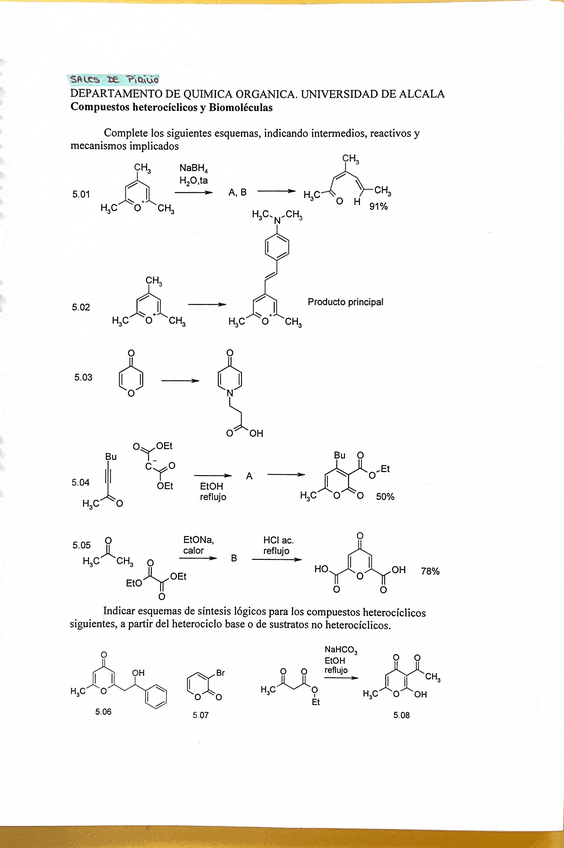 Miniatura del documento seminario-sales-de-pirilio-.pdf