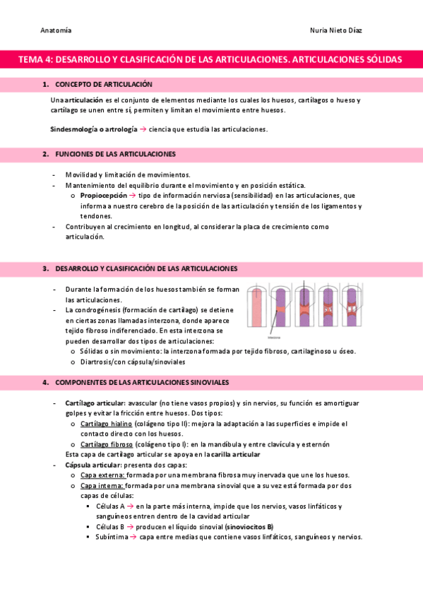 Miniatura del documento TEMA-4-Articulaciones-solidas.pdf