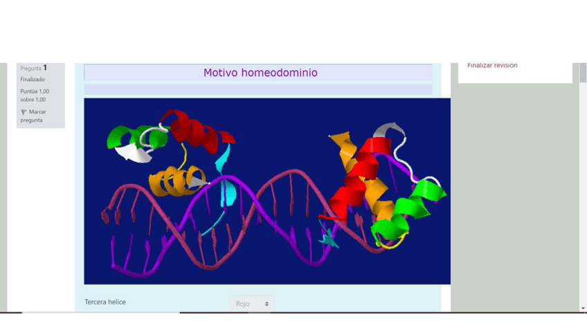 Miniatura del documento cuestionario-factores-de-transcripcion.pdf