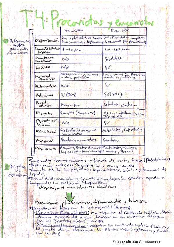 Miniatura del documento TEMA-4-Procariotas-y-eucariotas.pdf