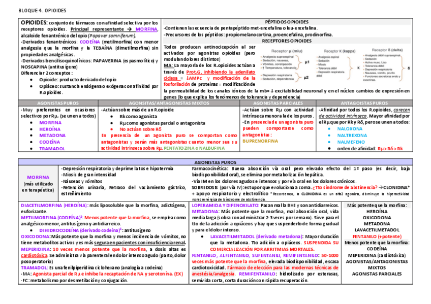 Miniatura del documento 4.pdf