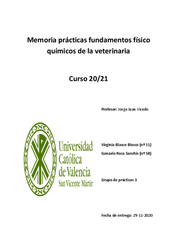 Miniatura del documento Memoria-1-FQVirginia-BlascoGonzalo-Roca.pdf