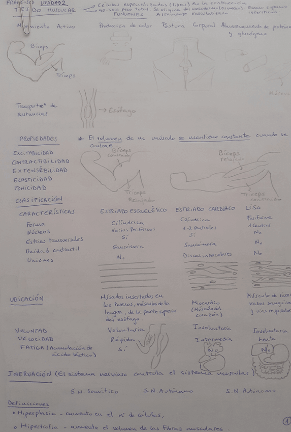 Miniatura del documento 20211003092249.jpg