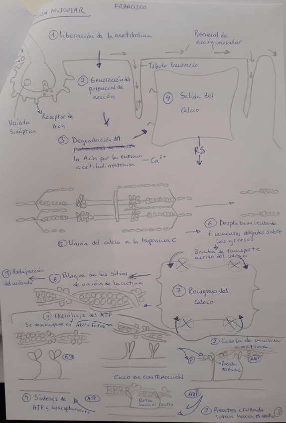 Miniatura del documento 20211003092348.jpg