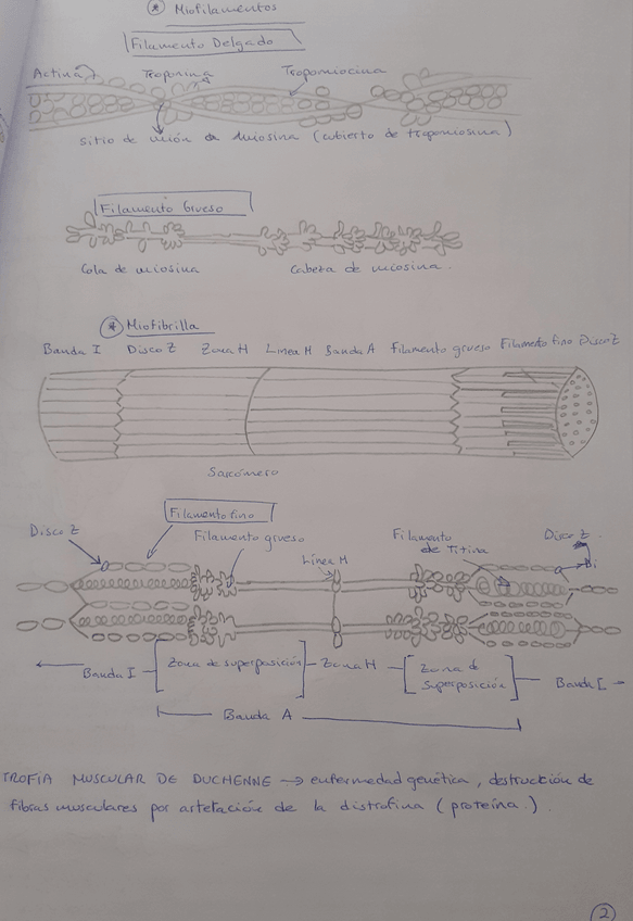 Miniatura del documento 20211003092308.jpg