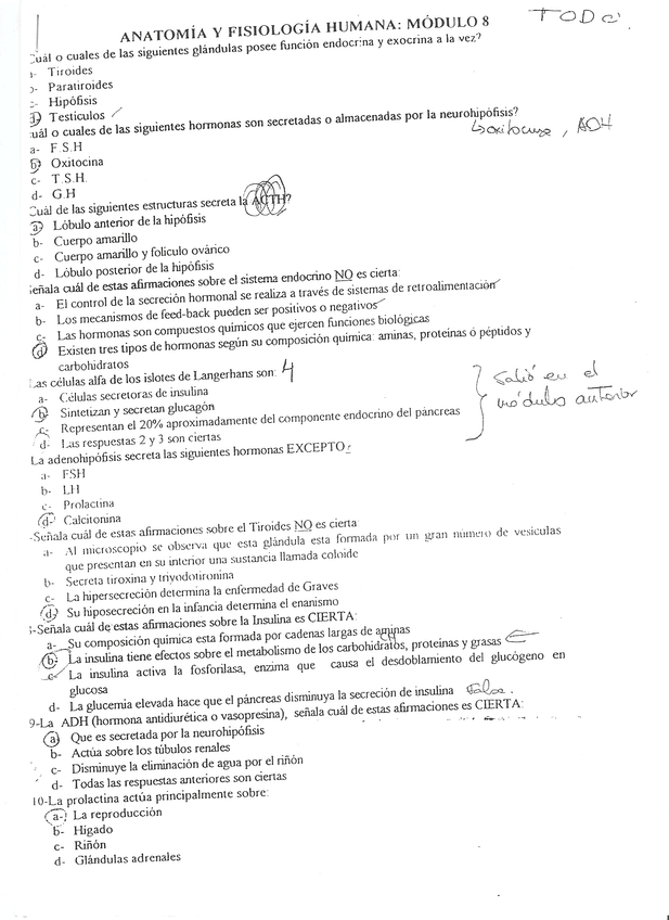 Miniatura del documento ANAMOD2.jpg