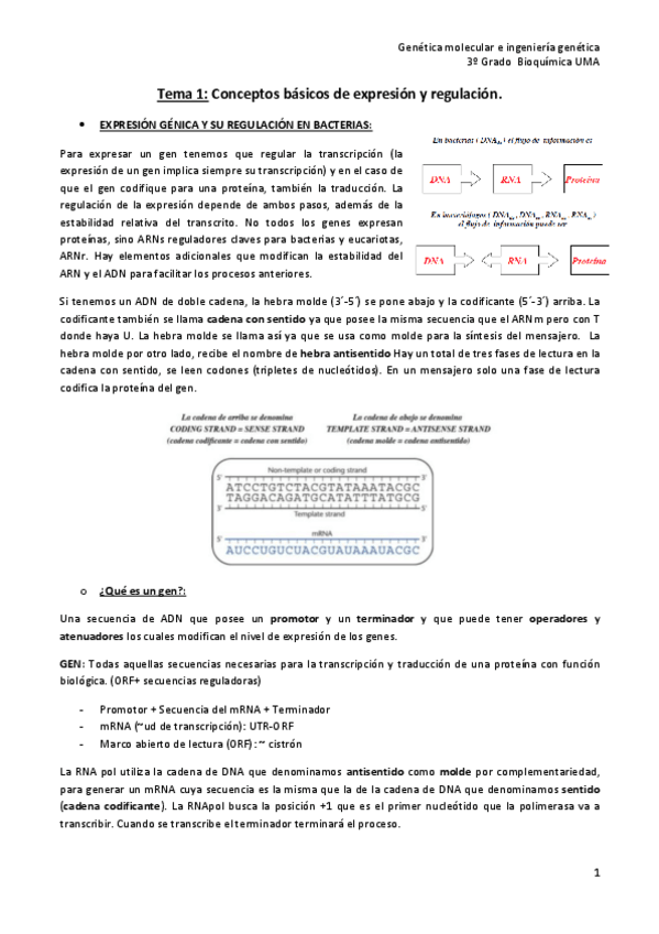 Miniatura del documento Tema-1-genetica-def.pdf