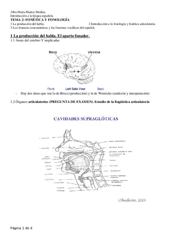 Miniatura del documento TEMA-2-LENGUA-ESPANOLA.docx
