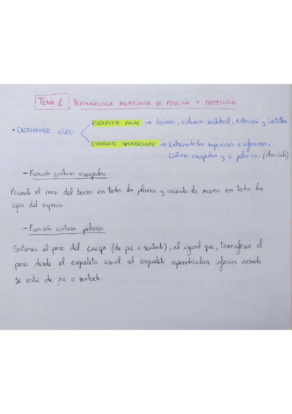 Miniatura del documento Recordatorio.pdf