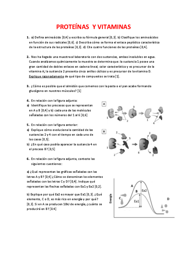 Miniatura del documento PREGUNTAS-PROTEINAS-Y-VITAMINAS.pdf