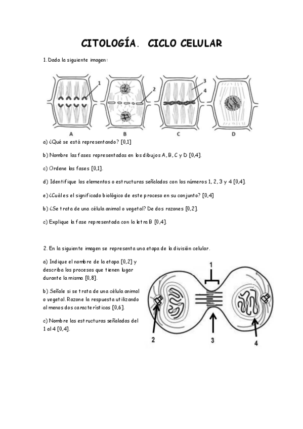 Miniatura del documento Preguntas-Citologia-VII-CICLO-CELULAR.pdf