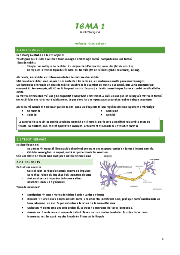 Miniatura del documento Tema-2-Histologia.pdf