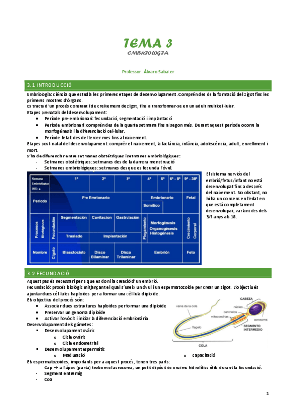 Miniatura del documento Tema-3-embriologia.pdf