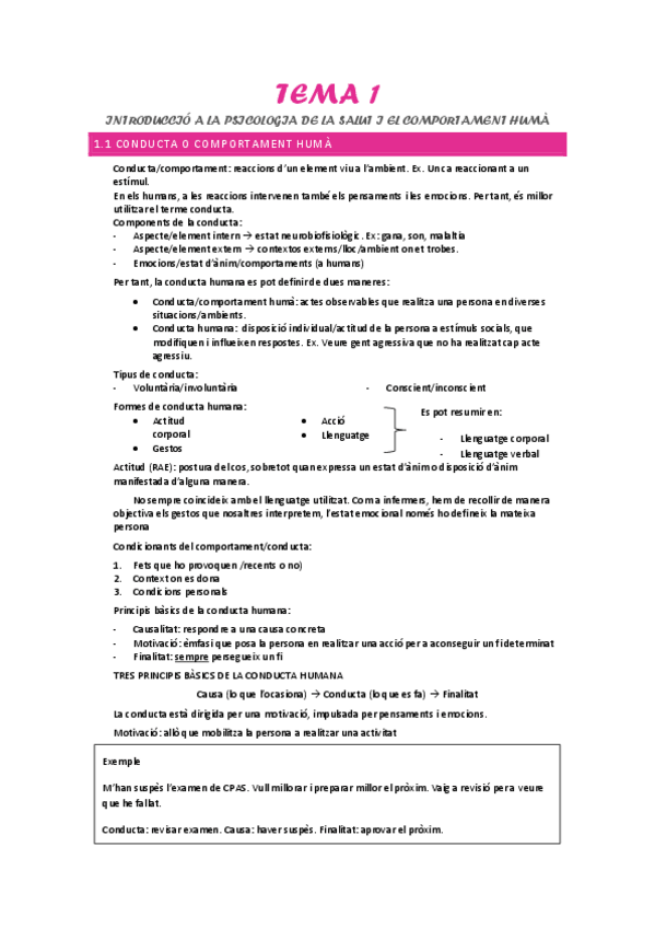 Miniatura del documento Tema-1-Introduccio.pdf