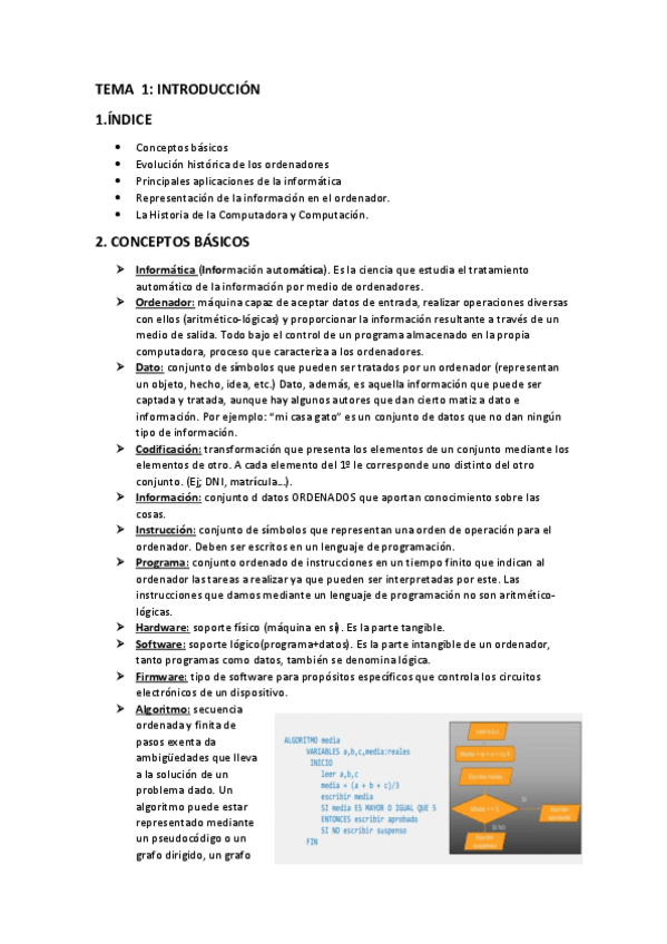 Miniatura del documento Tema-1-Informatica.pdf