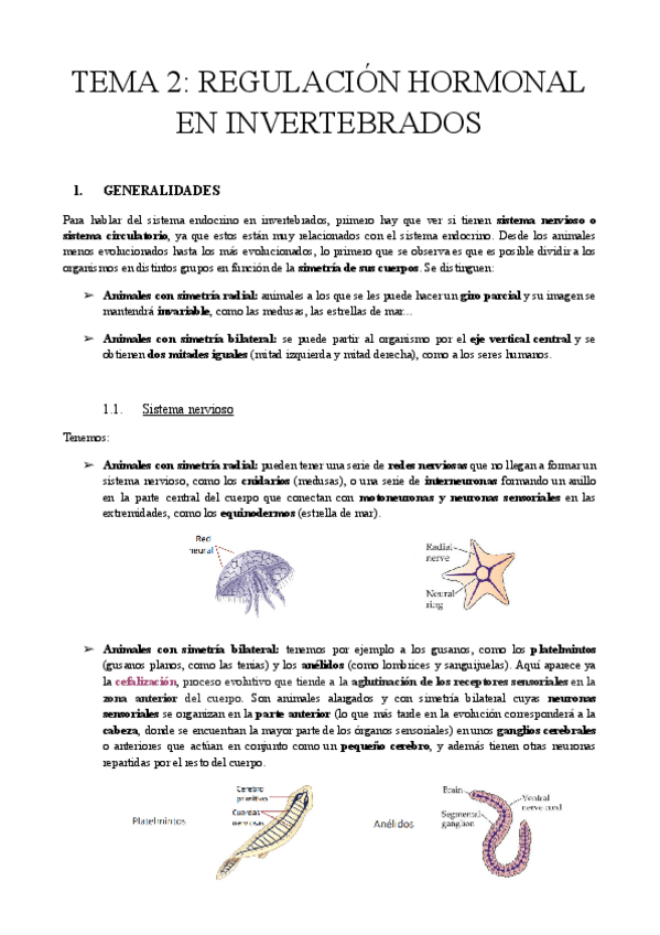 Miniatura del documento TEMA-2-REGULACION-HORMONAL-EN-INVERTEBRADOS.pdf