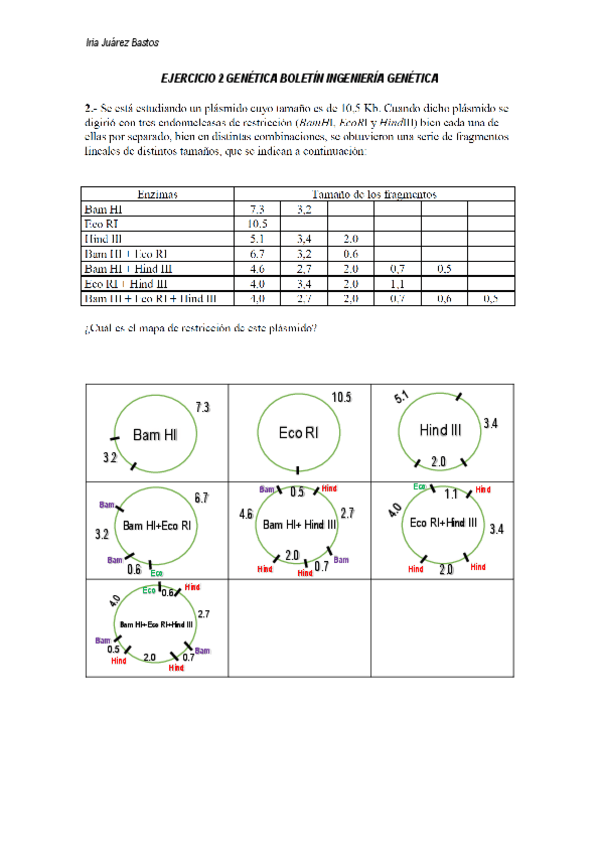 Miniatura del documento EJERCICIO-2-GENETICA-BOLETIN-INGENIERIA-GENETICA-Iria-Juarez-Bastos.pdf