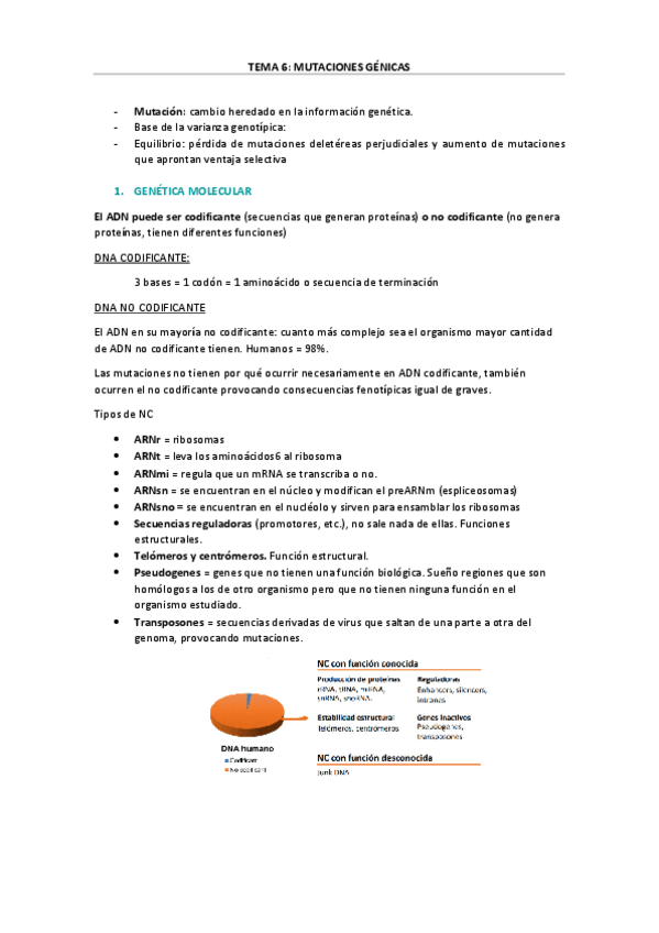 Miniatura del documento TEMA-6-MUTACIONES-GENICAS-2021.pdf
