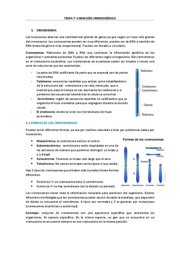 Miniatura del documento Tema-7-Mutaciones-cromosomicas.pdf