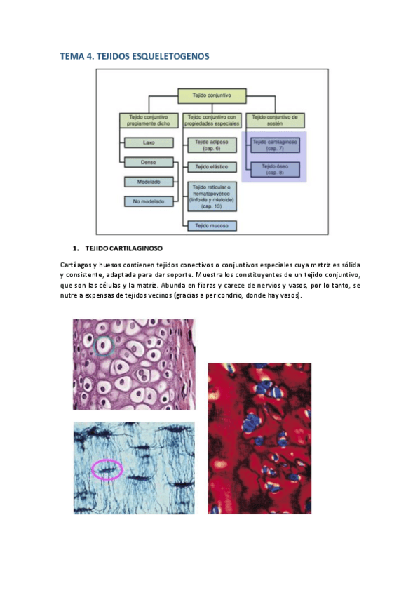 Miniatura del documento TEMA-4.pdf