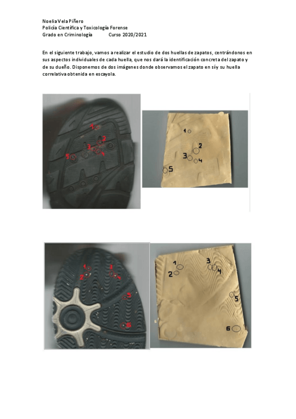 Miniatura del documento Estudio-huellas-de-zapatos.pdf
