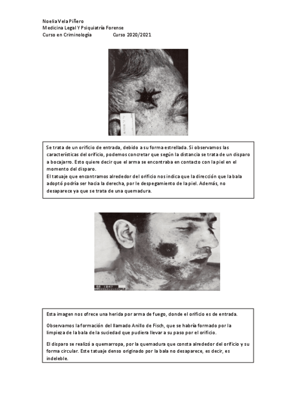 Miniatura del documento Armas-de-fuego-casos-disparos.pdf