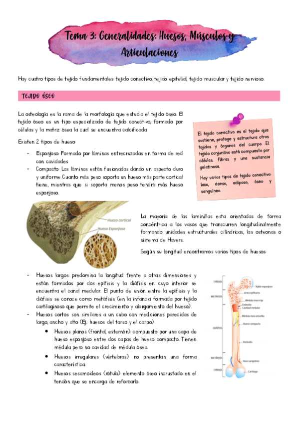 Miniatura del documento Tema 3.pdf