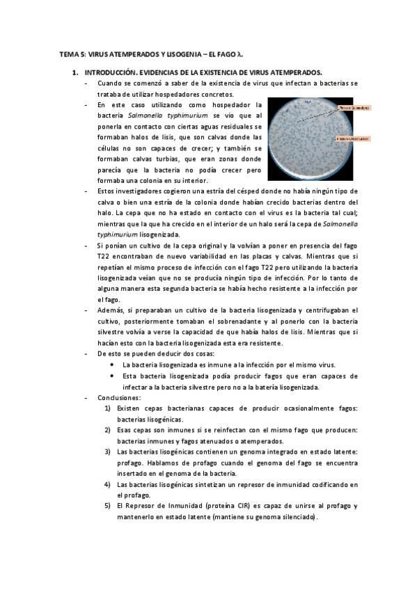 Miniatura del documento TEMA-5-viro.pdf