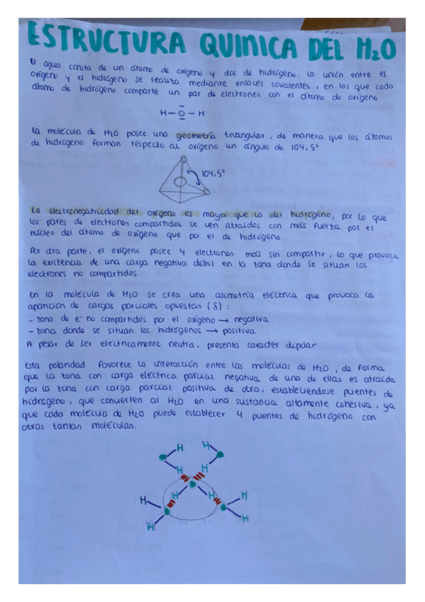 Miniatura del documento Apuntes-bioquimica-.pdf