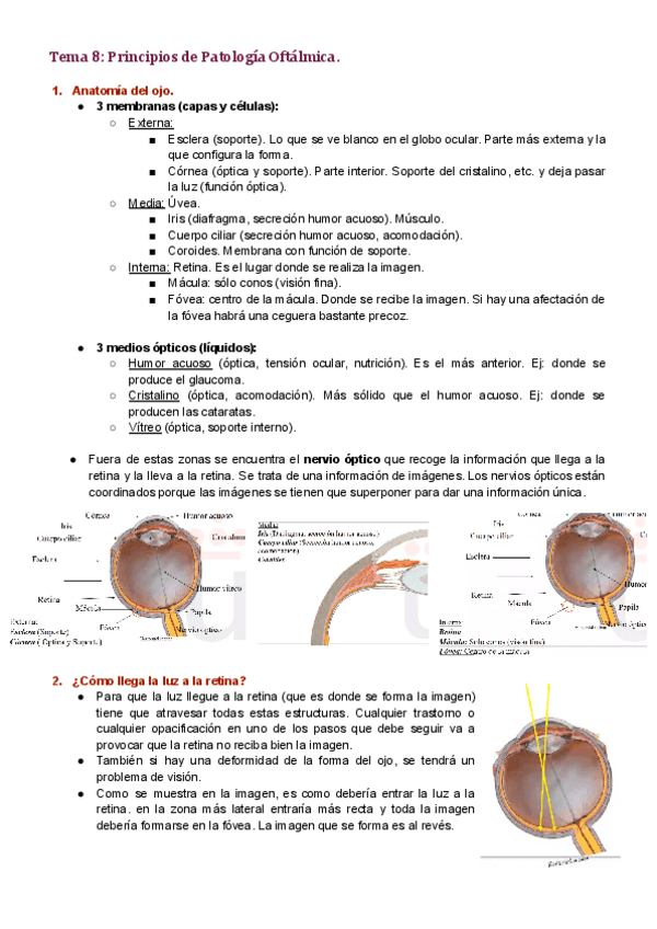 Miniatura del documento Tema-8.pdf