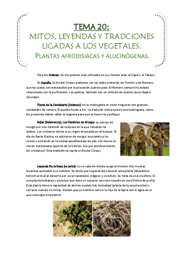 Miniatura del documento Tema20 Etnobot.pdf