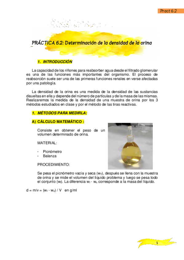 Miniatura del documento Practica-6.pdf