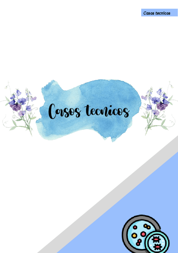 Miniatura del documento casos-tecnicos.pdf