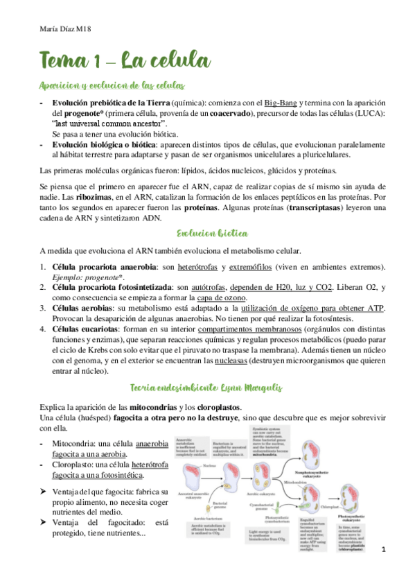 Miniatura del documento t1.pdf