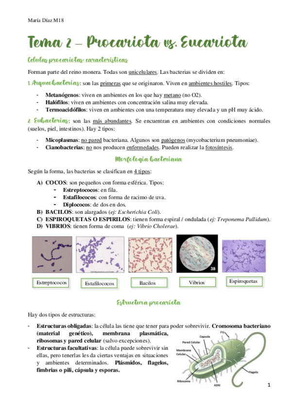 Miniatura del documento t2.pdf