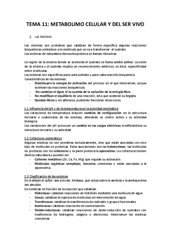 Miniatura del documento TEMA-11-metabolismo-celular.pdf