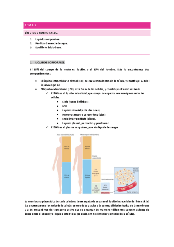Miniatura del documento Tema-2-fisio-1.pdf
